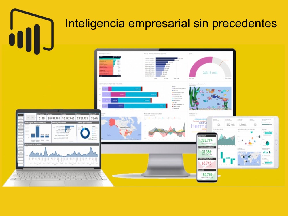 POWER BI. CEAP INFORMATICA. ERP GESTIÓN
